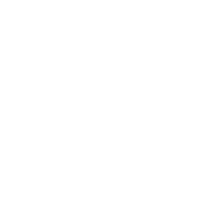 Digital Narada Logo