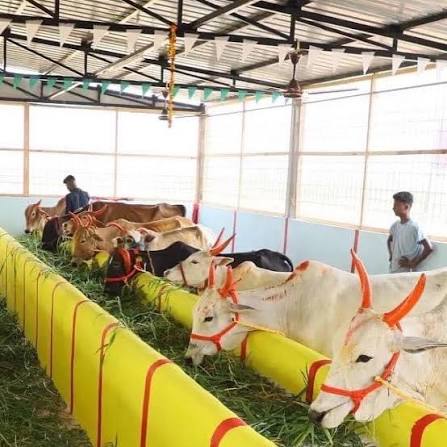Govardhan Annakshetra free meal programme